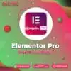 elementor pro