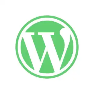 Theme & Plugin