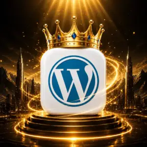 Theme & Plugin